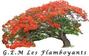 GEM Les Flamboyants